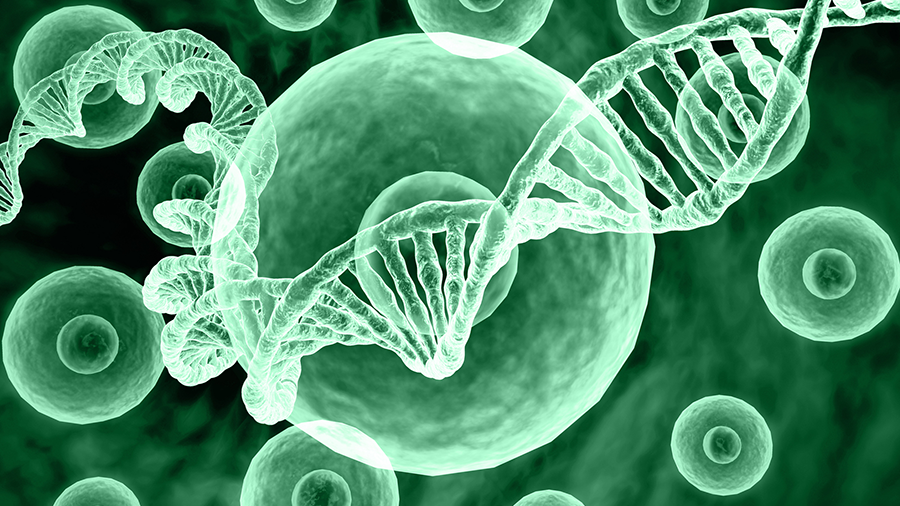 RNA Structure Identifier