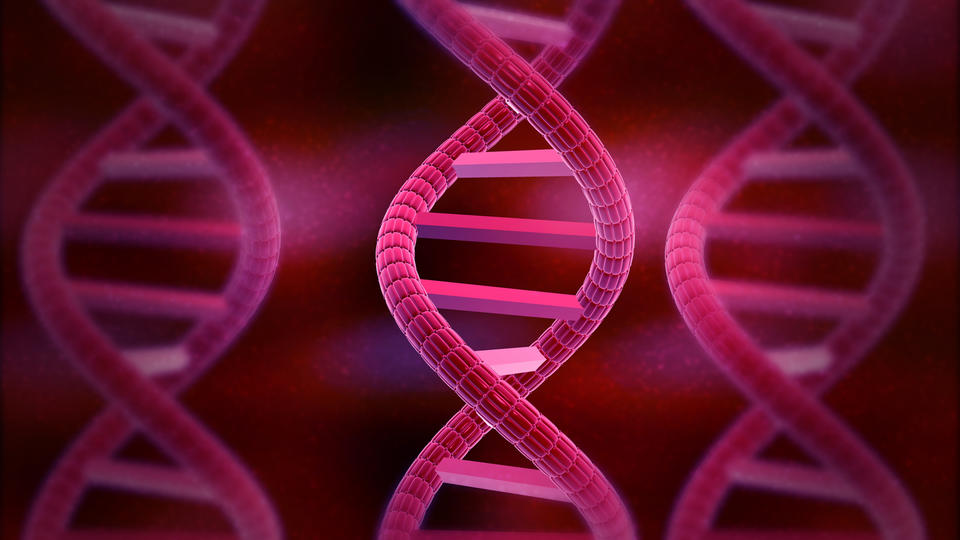 DNA strands