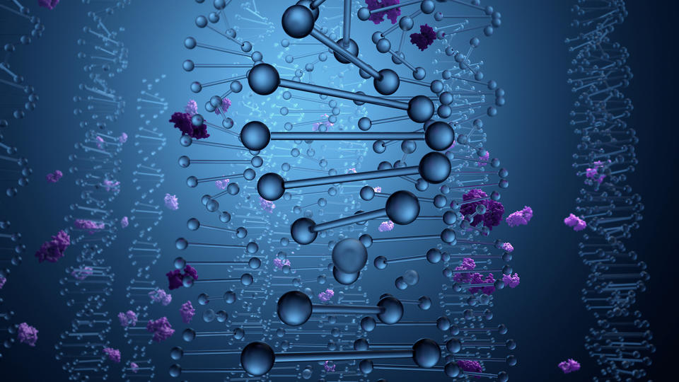 Genome graphic