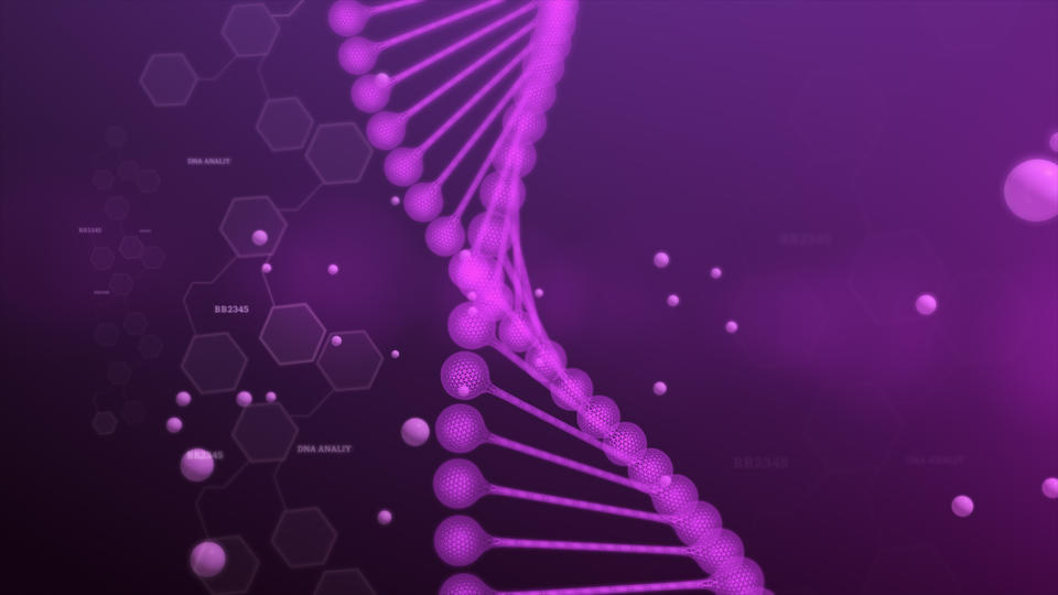 Systems Biology and Bioinformatics